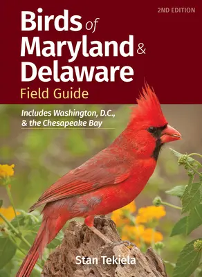 Guida agli uccelli del Maryland e del Delaware: Include Washington, D.C. e la Baia di Chesapeake - Birds of Maryland & Delaware Field Guide: Includes Washington, D.C., and the Chesapeake Bay