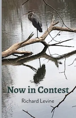 Ora in concorso - Now in Contest