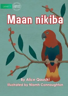 Uccelli - Maan nikiba - Birds - Maan nikiba