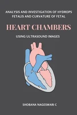 Analisi e studio dell'idrope fetale e della curvatura delle camere cardiache fetali mediante immagini ecografiche - Analysis and Investigation of Hydrops Fetalis and Curvature of Fetal Heart Chambers Using Ultrasound Images