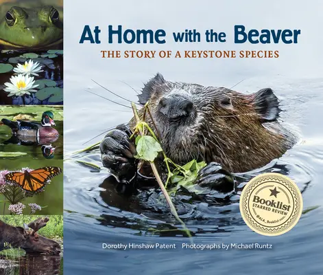 A casa con il castoro: La storia di una specie chiave di volta - At Home with the Beaver: A Story of a Keystone Species