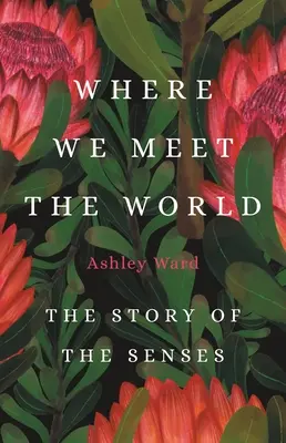 Dove incontriamo il mondo: La storia dei sensi - Where We Meet the World: The Story of the Senses