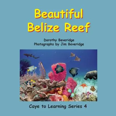 La bella barriera corallina del Belize - Beautiful Belize Reef