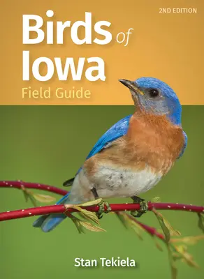 Guida agli uccelli dell'Iowa - Birds of Iowa Field Guide