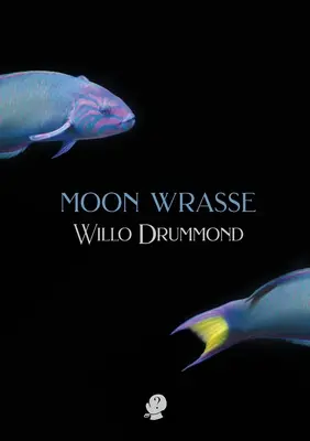 Il pesce luna - Moon Wrasse