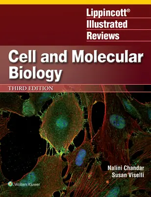 Recensioni illustrate Lippincott: Biologia cellulare e molecolare - Lippincott Illustrated Reviews: Cell and Molecular Biology