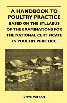 A Handbook to Poultry Practice - Based on the Syllabus of the Examinations for the National Certificate in Poultry Practice (Manuale di pratica avicola - basato sul programma d'esame per il certificato nazionale di pratica avicola) - A Handbook to Poultry Practice - Based on the Syllabus of the Examinations for the National Certificate in Poultry Practice