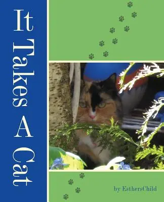 Ci vuole un gatto - It Takes A Cat