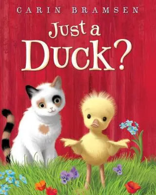 Solo un'anatra? - Just a Duck?