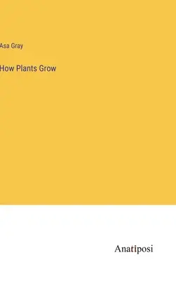 Come crescono le piante - How Plants Grow