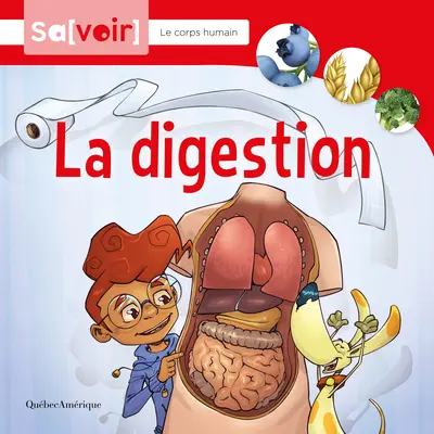 La Digestione - La Digestion