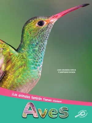 Aves: Uccelli - Aves: Birds