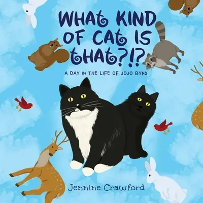 Che razza di gatto è quello?!?: Un giorno nella vita di Jojo Bynx - What Kind of Cat is That?!?: A Day in the Life of Jojo Bynx