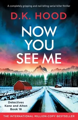 Now You See Me: un thriller con un serial killer assolutamente avvincente e che fa tremare le unghie - Now You See Me: A completely gripping and nail-biting serial killer thriller