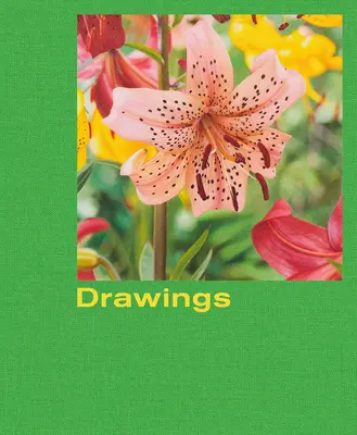 Mathew Cerletty: Disegni - Mathew Cerletty: Drawings