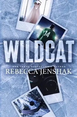 Gatto selvatico - Wildcat