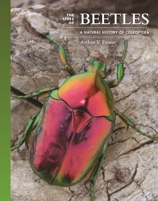 La vita dei coleotteri: Storia naturale dei Coleotteri - The Lives of Beetles: A Natural History of Coleoptera