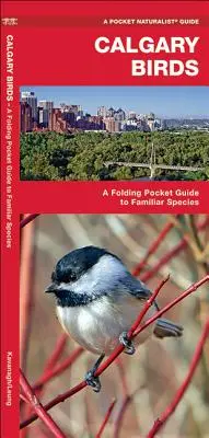 Uccelli di Calgary: Una guida tascabile e pieghevole alle specie più conosciute - Calgary Birds: A Folding Pocket Guide to Familiar Species