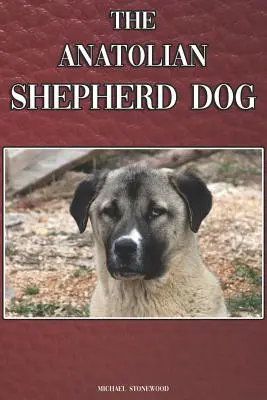 Il cane da pastore dell'Anatolia: Guida completa ed esaustiva per principianti a: Acquistare, possedere, salute, toelettatura, addestramento, obbedienza, capire - The Anatolian Shepherd Dog: A Complete and Comprehensive Beginners Guide To: Buying, Owning, Health, Grooming, Training, Obedience, Understanding