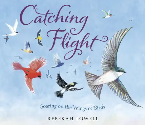 Prendere il volo: Librarsi sulle ali degli uccelli - Catching Flight: Soaring on the Wings of Birds