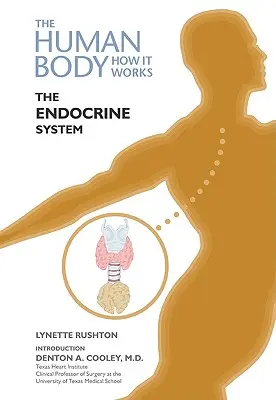 Il sistema endocrino - The Endocrine System