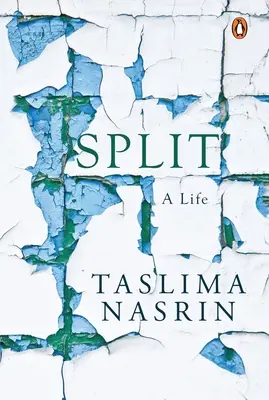 Diviso - Split
