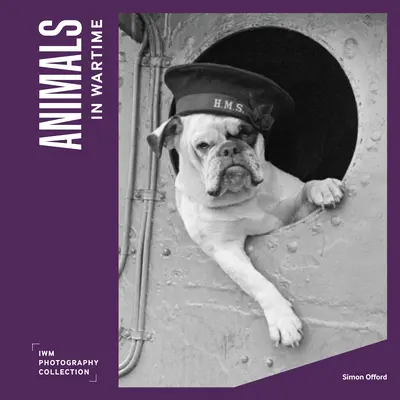 Animali in tempo di guerra - Animals in Wartime