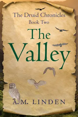 La valle: Le cronache dei druidi, libro secondo - The Valley: The Druid Chronicles, Book Two
