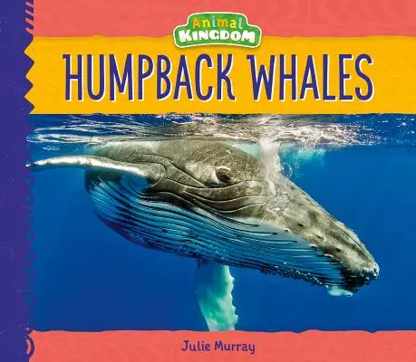 Balene megattere - Humpback Whales