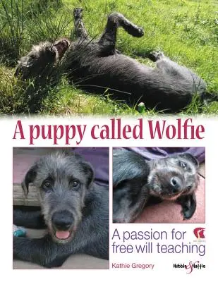 Un cucciolo di nome Wolfie: Una passione per l'insegnamento del libero arbitrio - A Puppy Called Wolfie: A Passion for Free-Will Teaching