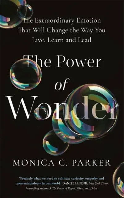 Il potere della meraviglia - L'emozione straordinaria che cambierà il vostro modo di vivere, imparare e dirigere - Power of Wonder - The Extraordinary Emotion That Will Change the Way You Live, Learn and Lead