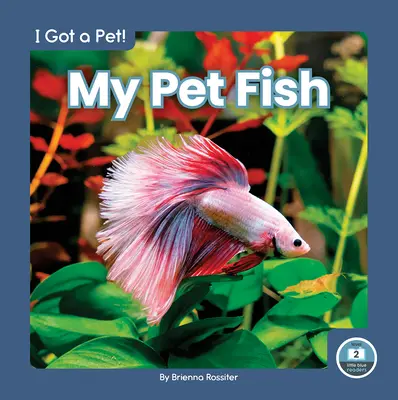 Il mio pesce domestico - My Pet Fish