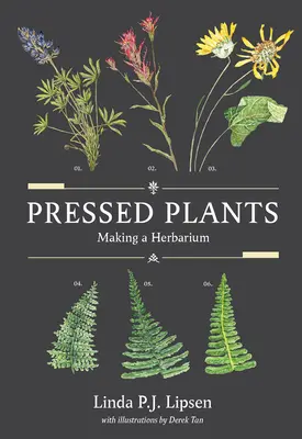 Piante pressate: Realizzare un erbario - Pressed Plants: Making a Herbarium