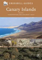 Isole Canarie - Fuerteventura e Lanzarote - Spagna - Canary Islands - Fuerteventura and Lanzarote - Spain