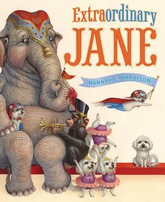 Straordinaria Jane - Extraordinary Jane