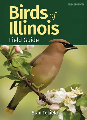 Guida agli uccelli dell'Illinois - Birds of Illinois Field Guide