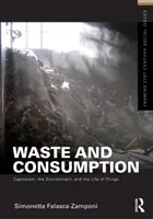 Spreco e consumo: capitalismo, ambiente e vita delle cose - Waste and Consumption - Capitalism, the Environment, and the Life of Things