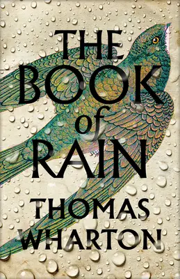 Il libro della pioggia - Book of Rain