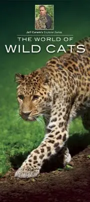 Il mondo dei gatti selvatici - World of Wild Cats