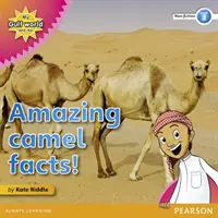 Il mio mondo del Golfo e io Lettore di saggistica di livello 3: Fatti incredibili sui cammelli! - My Gulf World and Me Level 3 non-fiction reader: Amazing camel facts!
