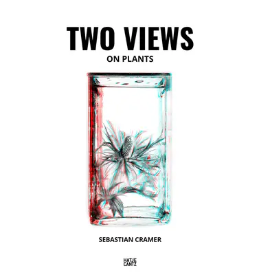 Sebastian Cramer: Due punti di vista - Sebastian Cramer: Two Views