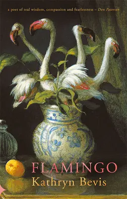 Fenicottero - Flamingo
