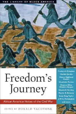 Il viaggio della libertà: Voci afroamericane della guerra civile - Freedom's Journey: African American Voices of the Civil War