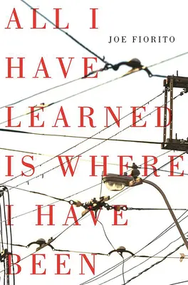Tutto quello che ho imparato è dove sono stato - All I Have Learned Is Where I Have Been