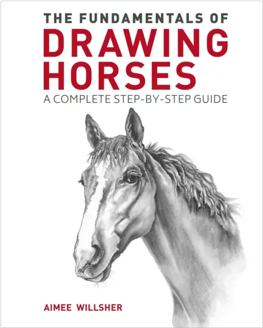 Fondamenti del disegno dei cavalli - Una guida completa passo dopo passo - Fundamentals of Drawing Horses - A Complete Step-by-Step Guide