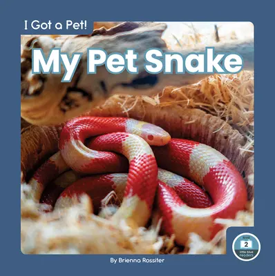 Il mio serpente domestico - My Pet Snake