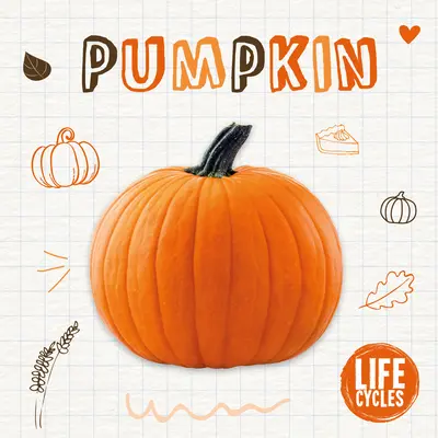 Zucca - Pumpkin
