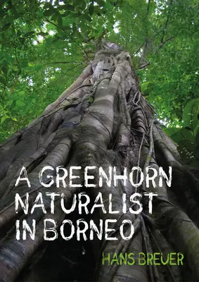 Un naturalista novello nel Borneo - A Greenhorn Naturalist in Borneo