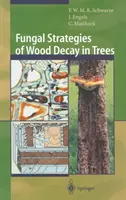 Strategie fungine di decadimento del legno negli alberi - Fungal Strategies of Wood Decay in Trees