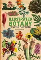 Botanica illustrata - Il museo virtuale delle piante - Illustrated Botany - The Virtual Plant Museum